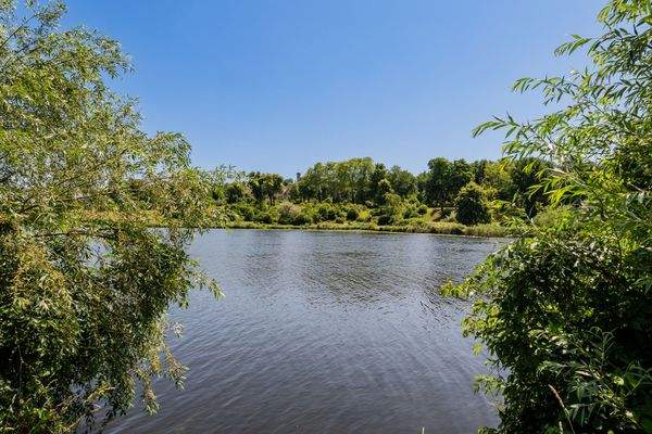 View of Babelsberg Palace