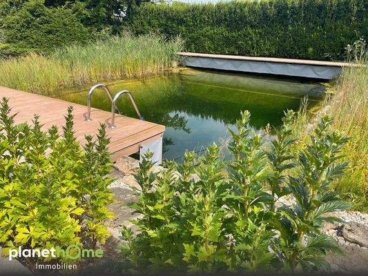 Schwimmteich und Liegezone I