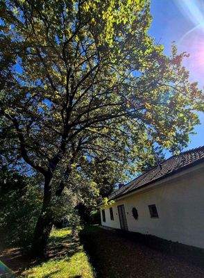 Teilansicht Grundstück