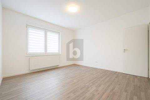 Geislingen an der Steige Wohnungen, Geislingen an der Steige Wohnung mieten