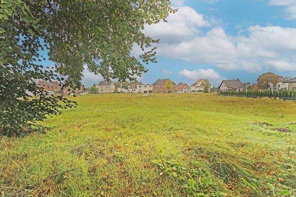 Grünfläche hinter dem Grdst.