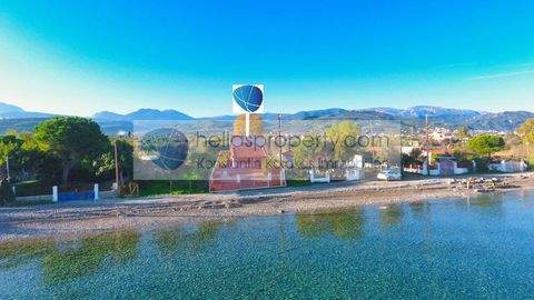 Egio Häuser, Egio Haus kaufen