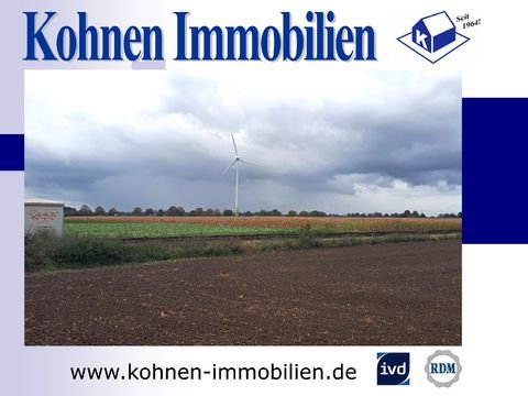 Kerken Bauernhöfe, Landwirtschaft, Kerken Forstwirtschaft