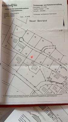 WhatsApp Image 2022-07-12 at 10.19.06.jpeg