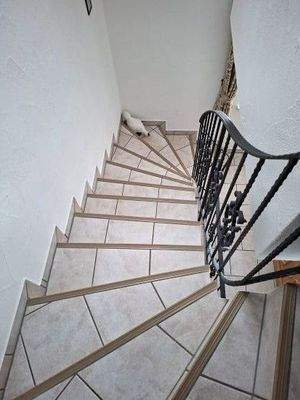 Treppe in das Kellergeschoss