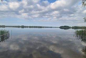 Badestelle am Dammsee
