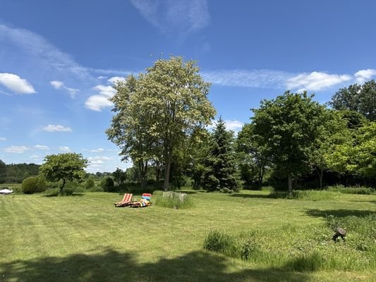 Blick in den Garten