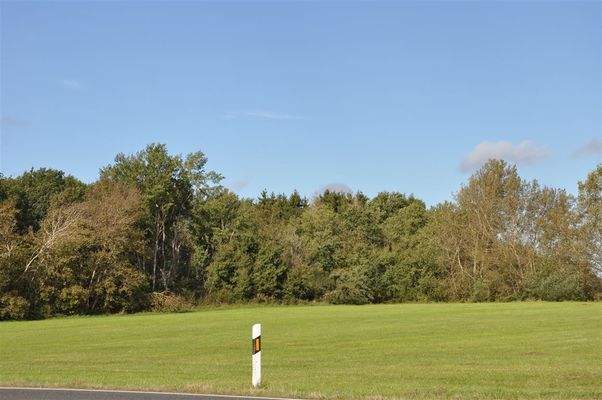 Blick auf Wald und Wiesen
