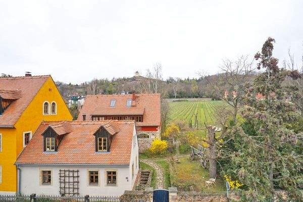 Blick in die Weinberge