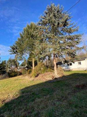 Baugrund Ölsnitzer LS 11 (9).jpeg