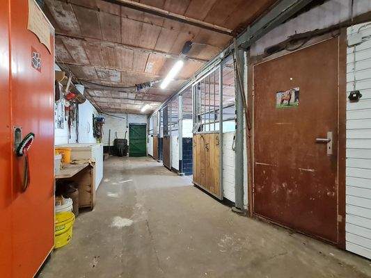 Blick in den Pferdestall