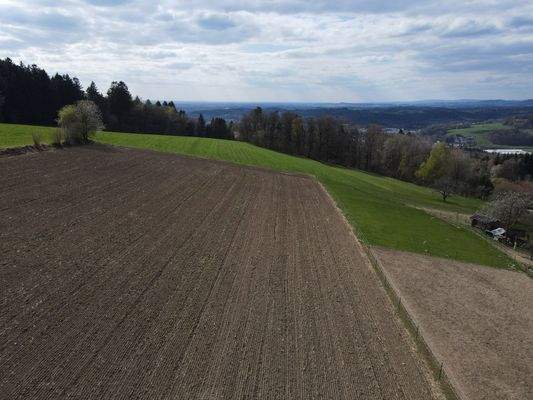Landwirtschaftlichefläche 