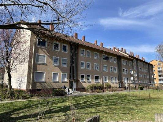 Schwarzerlenweg 7-13 Ansicht vorne Bild