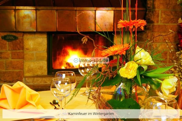 Kamin