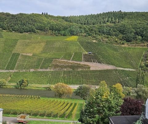 Aussicht Mosel.jpg