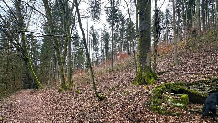 Blick nach Norden mit Zufahrt