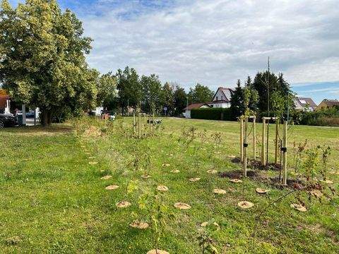Kölleda Grundstücke, Kölleda Grundstück kaufen