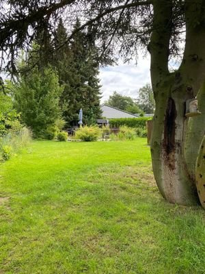 Grüner Gartenblick