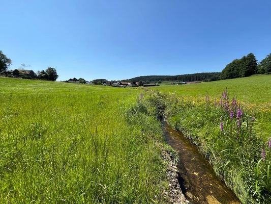 Bachlauf entlang einer Grundstücksgrenze