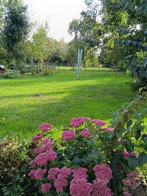 .......................