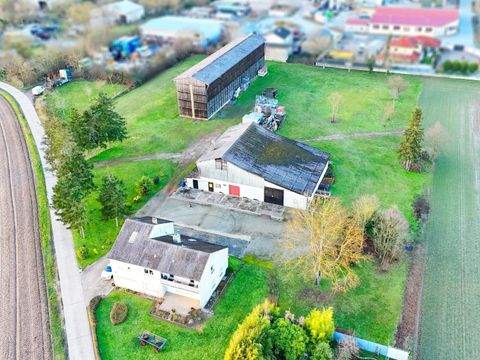 Lingenfeld Bauernhöfe, Landwirtschaft, Lingenfeld Forstwirtschaft