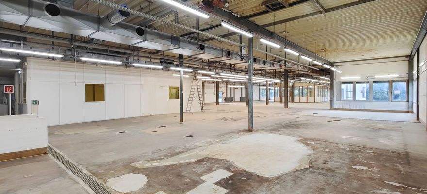 OG_Produktionsflächen_Blick_14