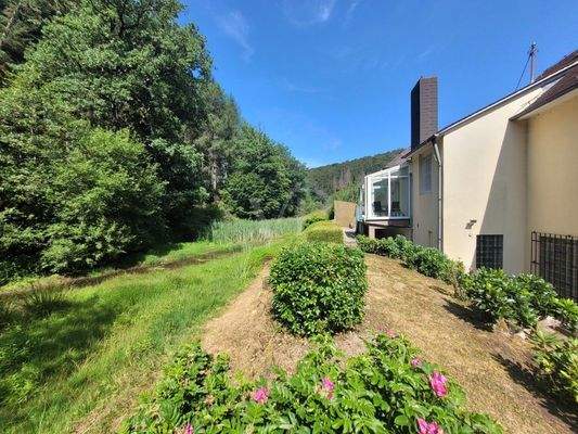 Garten hinter dem Haus (2)