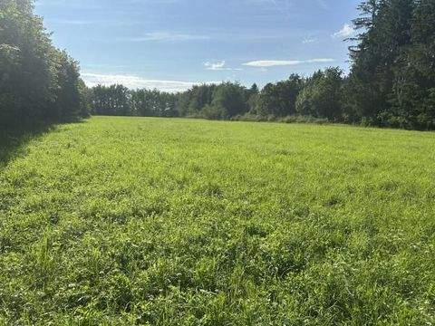 Höhenkirchen-Siegertsbrunn Bauernhöfe, Landwirtschaft, Höhenkirchen-Siegertsbrunn Forstwirtschaft