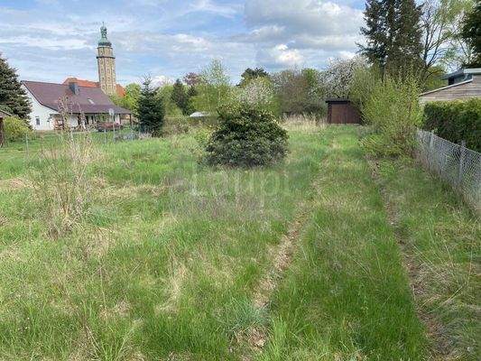 003_P-13693 _Wochenendgrundstueck_Schmiedeberg_Due