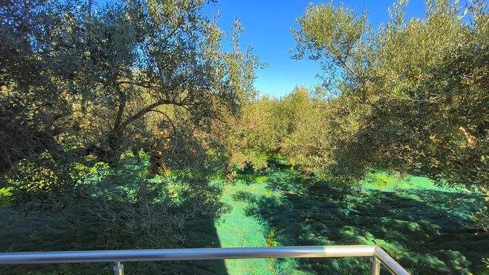 Kreta, Drapanias: Neubauhaus inmitten von Olivenhainen in Strandnähe zu verkaufen