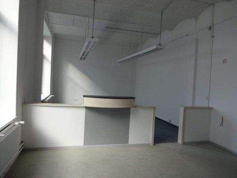 Hamburg Halle, Hamburg Hallenfläche