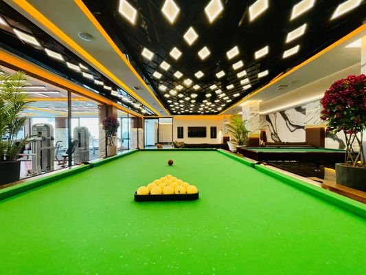 Billiard -1-