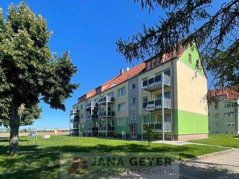Laußig Wohnungen, Laußig Wohnung mieten