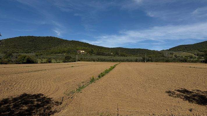 32DAAA77-A3C0-4BE5-8A11-196F69443AB5_1_201_a