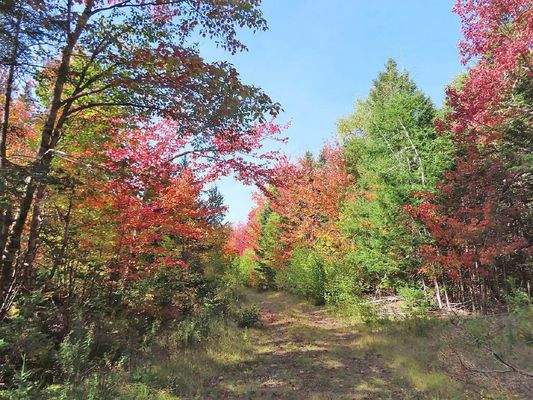 Nova Scotia - West Side Country Harbour - 52-Hekta