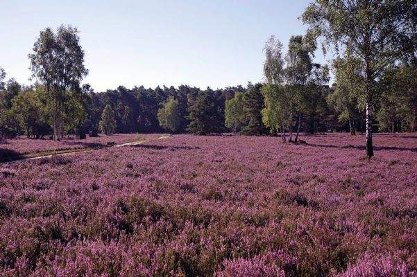 Wohnen wo andere Urlaub machen.