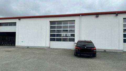 Sigharting Halle, Sigharting Hallenfläche