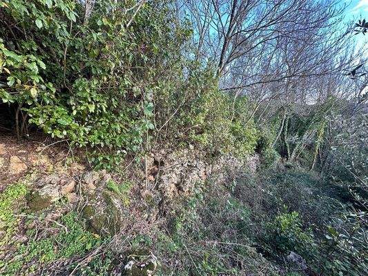 Naturmauer als Grundstücksgrenze