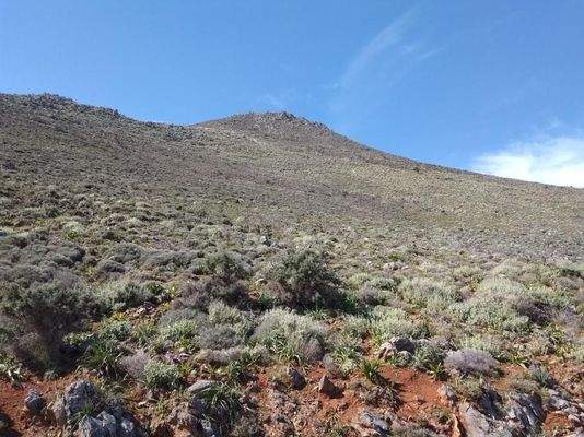 Kreta - Drapanos - Offener Meerblick bis nach Rethymno!