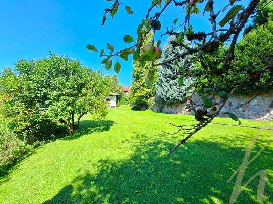 Petra Huber Immobilien TIROL und VORARLBERG