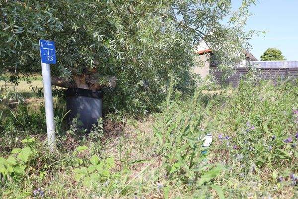 2025 - Frauenhagen (2).jpg