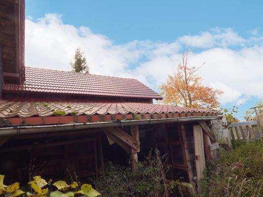 Dachflächen Nebengelass