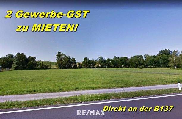 Gewerbegrundstück an der B137 zu Vermieten!