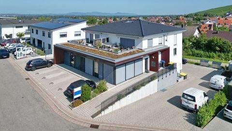 Ebringen Halle, Ebringen Hallenfläche