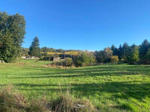 Niederau Grundstücke, Niederau Grundstück kaufen