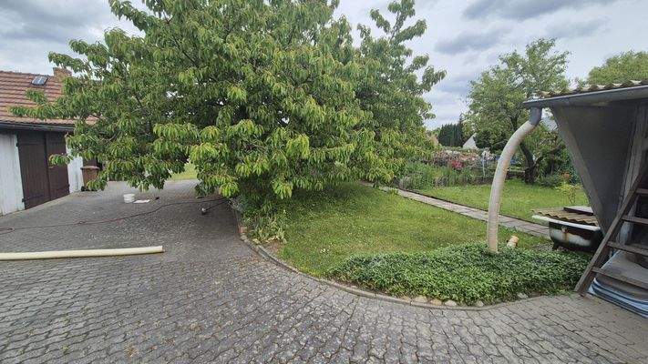 Blick aufs Grundstück