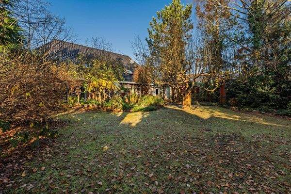 Grünfläche im Garten