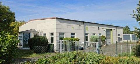 Adelsdorf Halle, Adelsdorf Hallenfläche