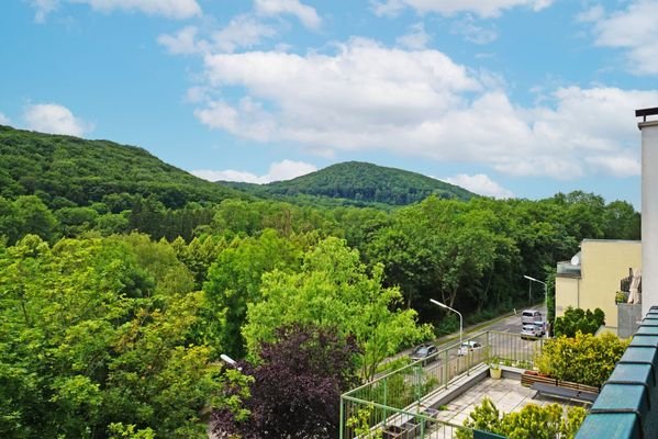 Grünblick von der Dachterrasse