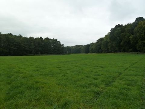 Uckerland Bauernhöfe, Landwirtschaft, Uckerland Forstwirtschaft